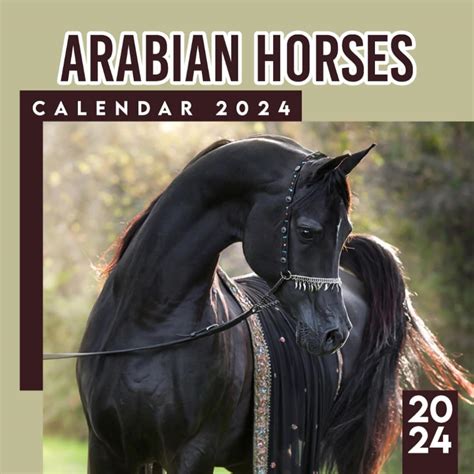 arab girls|2025 Calendars are HERE!!!